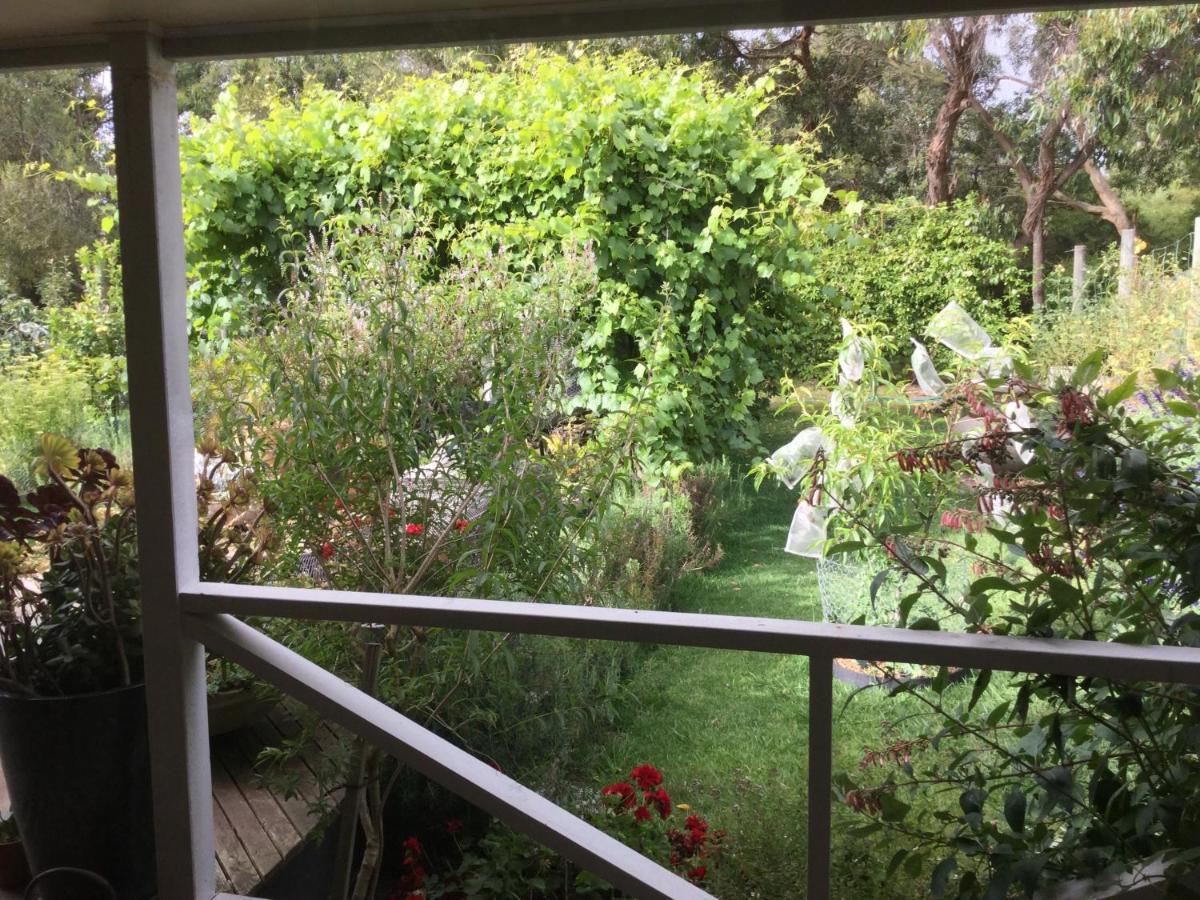 Bed and Breakfast Olivi Янки Экстерьер фото